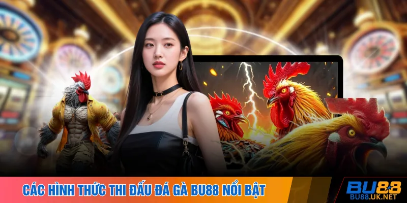 Các hình thức thi đấu đá gà BU88 nổi bật