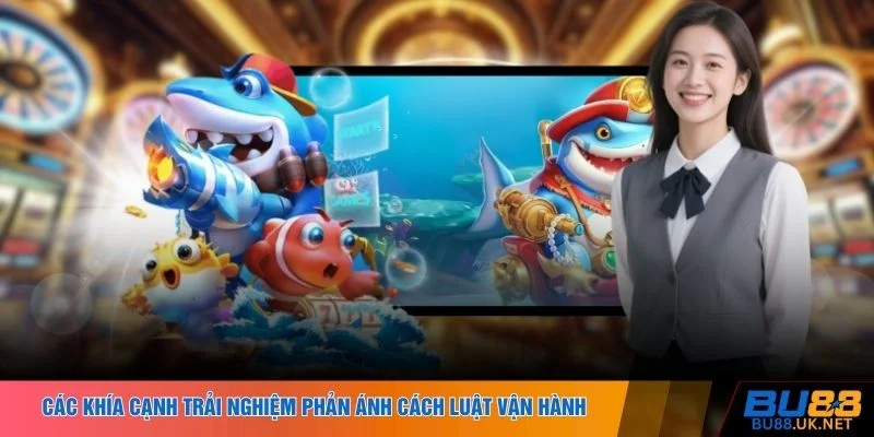 Các khía cạnh trải nghiệm phản ánh cách luật vận hành 