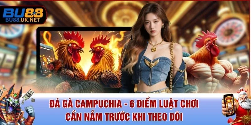 Đá Gà Campuchia - 6 Điểm Luật Chơi Cần Nắm Trước Khi Theo Dõi