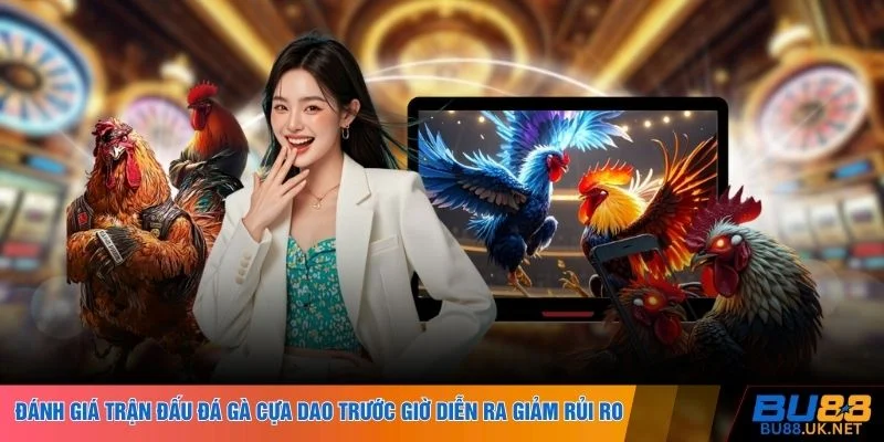 Đánh giá trận đấu đá gà cựa dao trước giờ diễn ra giảm rủi ro