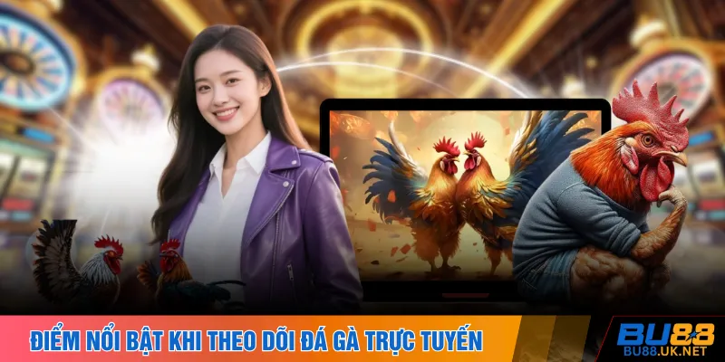 Điểm nổi bật khi theo dõi đá gà trực tuyến