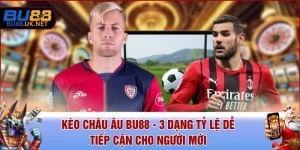 Kèo Châu Âu BU88 - 3 Dạng Tỷ Lệ Dễ Tiếp Cận Cho Người Mới