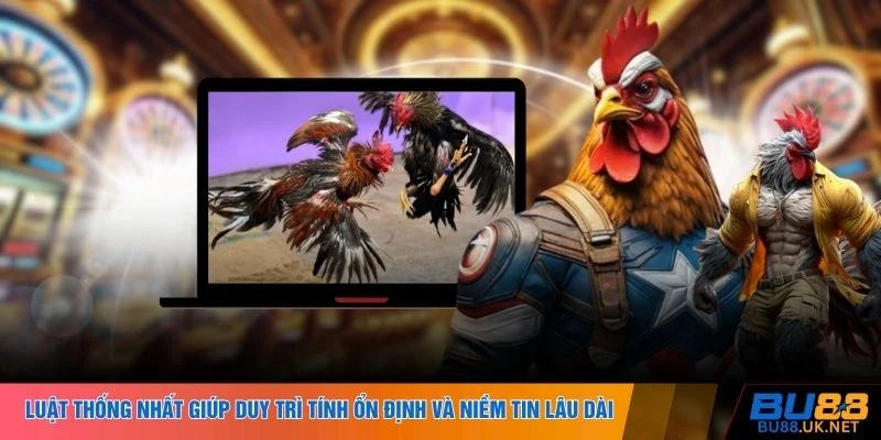 Luật thống nhất giúp duy trì tính ổn định và niềm tin lâu dài